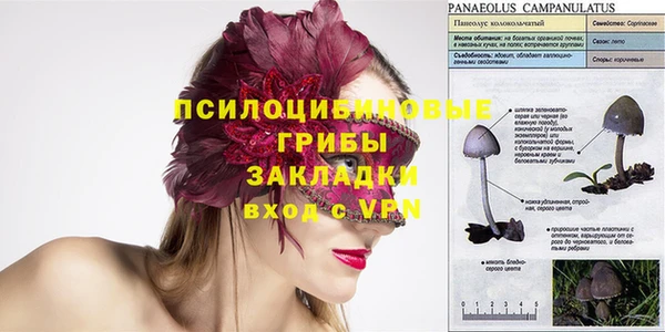винт Михайловка